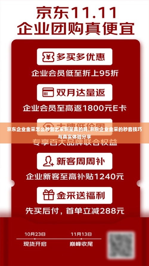 京东企业金采怎么秒套出来啊是真的吗,京东企业金采的秒套技巧与真实体验分享