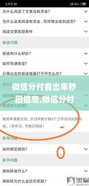 微信分付套出来秒回信息,微信分付提现攻略，秒回信息背后的智慧与风险