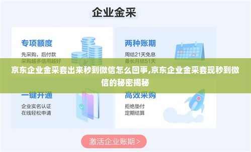 京东企业金采套出来秒到微信怎么回事,京东企业金采套现秒到微信的秘密揭秘
