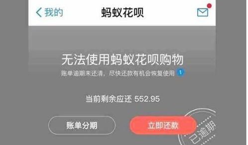 怎么快手先用后付套出来,快手先用后付，如何快速套现与风险防范