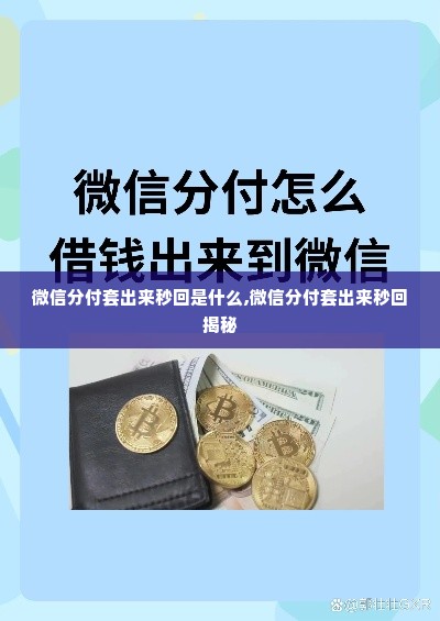 微信分付套出来秒回是什么,微信分付套出来秒回揭秘
