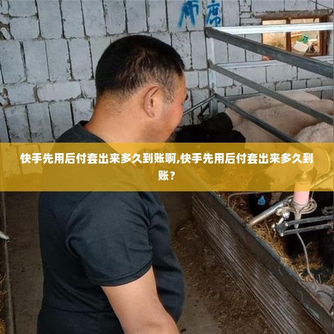 快手先用后付套出来多久到账啊,快手先用后付套出来多久到账？