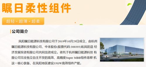 美团月付美团月付能套出来吗,揭秘美团月付，能否轻松套现？