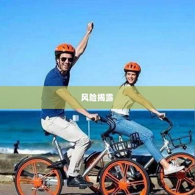 成都美团月付哪里能套出来,揭秘成都美团月付套现的真相与风险