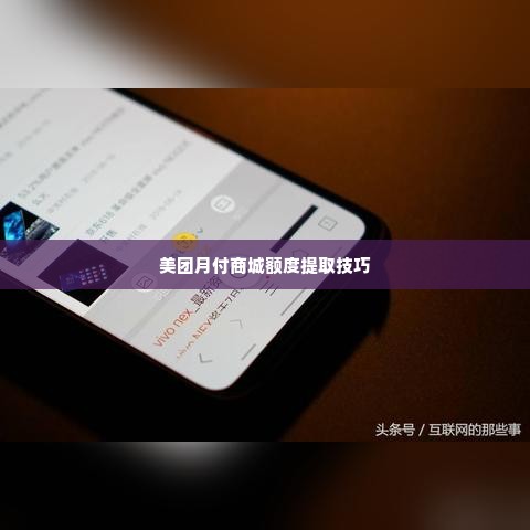 美团月付商城额度怎么套出来,揭秘美团月付商城额度的提取技巧