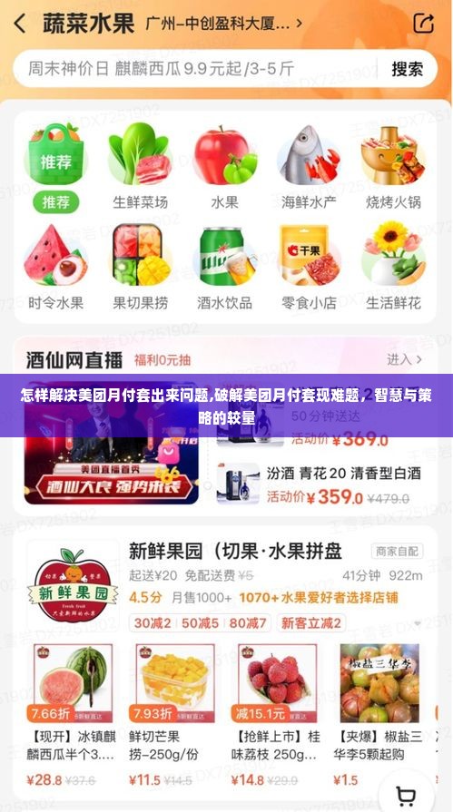 怎样解决美团月付套出来问题,破解美团月付套现难题，智慧与策略的较量