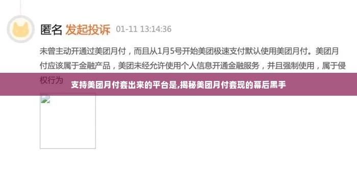 支持美团月付套出来的平台是,揭秘美团月付套现的幕后黑手