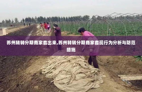 苏州转转分期商家套出来,苏州转转分期商家套现行为分析与防范措施