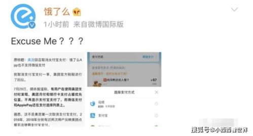 美团月付怎么套出来秒回信息,揭秘美团月付秒回信息的背后——如何巧妙利用美团月付进行资金周转