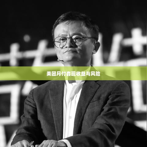 美团月付套出来一般几个点,揭秘美团月付套现的隐秘收益，几个点的秘密与风险