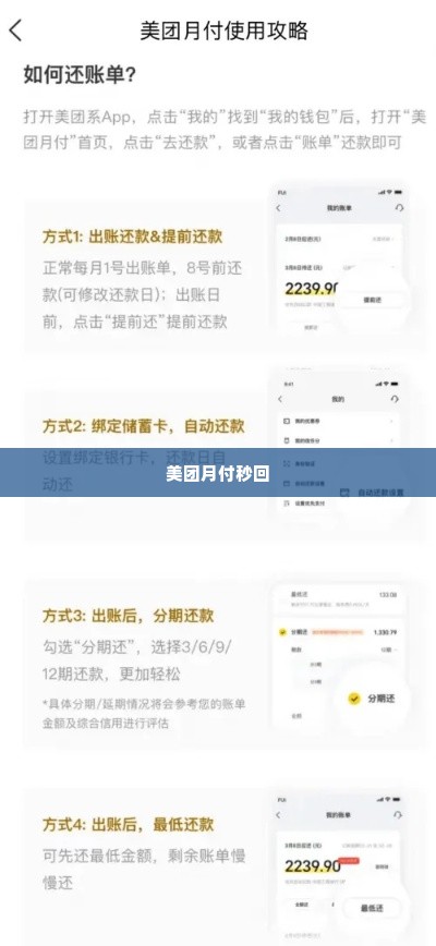 美团月付600套出来秒回,美团月付的神秘力量，600套秒回的背后
