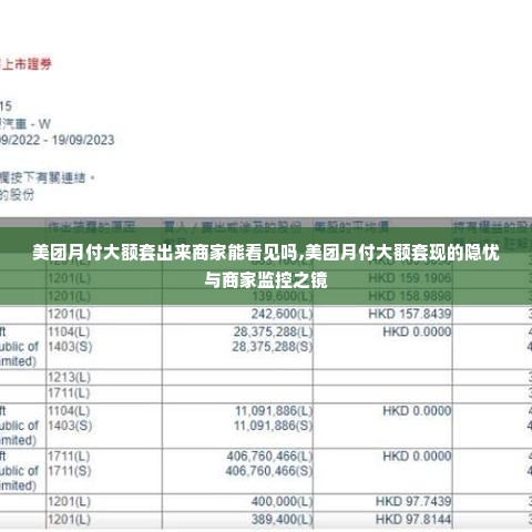 美团月付大额套出来商家能看见吗,美团月付大额套现的隐忧与商家监控之镜