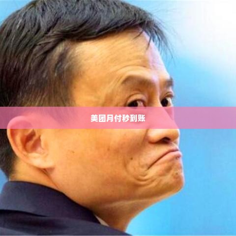 美团月付套出来秒到账怎么操作的,揭秘美团月付套现秒到账的神秘操作