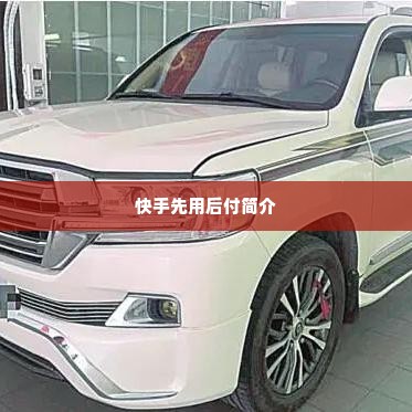 快手先用后付套出来商家怎么操作,快手先用后付套出来商家操作指南