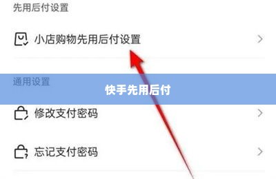 快手先用后付可以购买什么套出来,快手先用后付，解锁购物新体验，探索多样化的套现选项