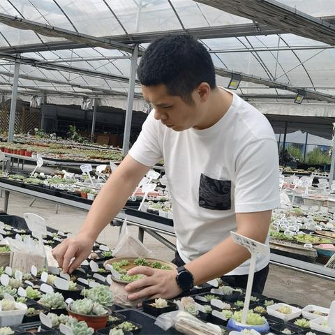 郑州微店放心花套出来,郑州微店放心花套出来，打造花卉电商的诚信品牌