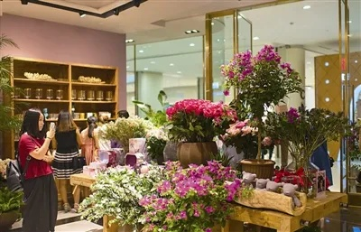 苏州微店放心花套出来,苏州微店放心花套出来，打造线上花卉购物新体验
