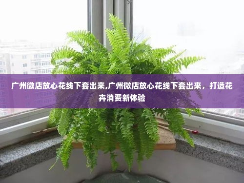 广州微店放心花线下套出来,广州微店放心花线下套出来，打造花卉消费新体验