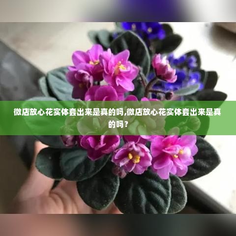 微店放心花实体套出来是真的吗,微店放心花实体套出来是真的吗？
