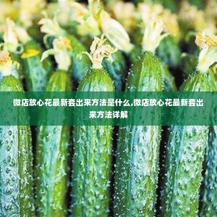转转分期套出来怎么套出来的,转转分期套现的方法与风险评估