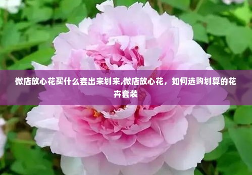 微店放心花买什么套出来划来,微店放心花，如何选购划算的花卉套装