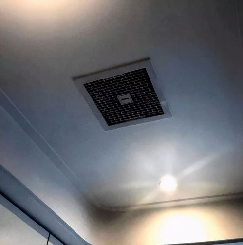 微店放心花能套出来吗是真的吗,微店放心花能套出来吗？是真的吗？