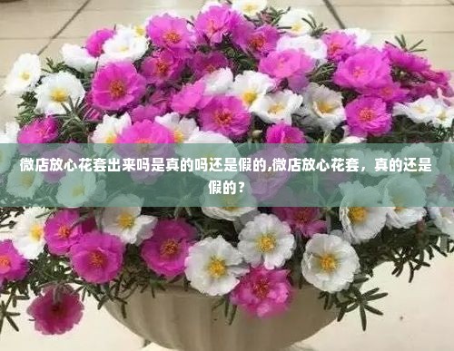 微店放心花套出来吗是真的吗还是假的,微店放心花套，真的还是假的？