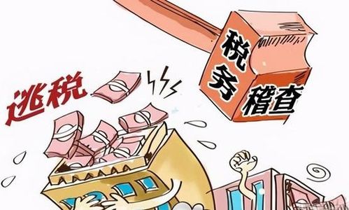 有没有转转分期套出来的平台,探索转转分期套现平台，合法与风险并存的灰色地带