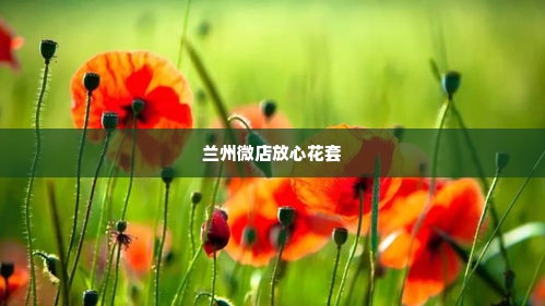 兰州微店放心花套出来,兰州微店放心花套出来，让美丽绽放