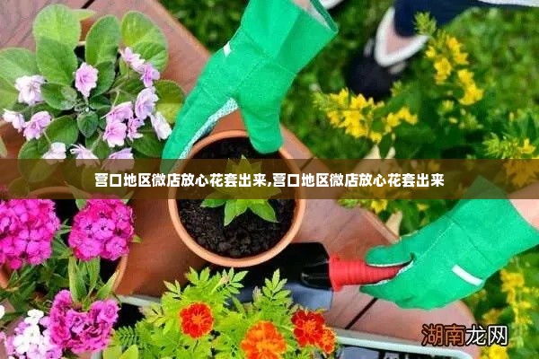 营口地区微店放心花套出来,营口地区微店放心花套出来