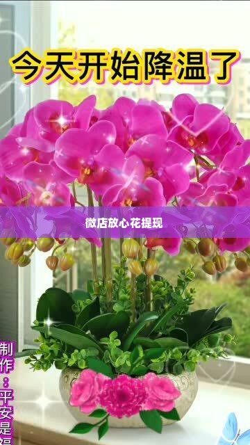 微店放心花自己可以套出来吗,微店放心花自己可以套出来吗？
