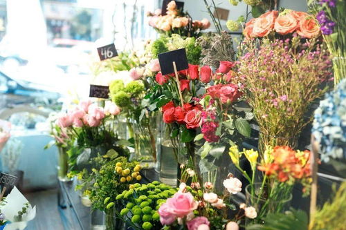 微店放心花实体套出来安全吗,微店放心花实体套出来的安全与风险分析
