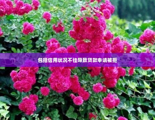 微店放心花套出来怎么弄到微信上去,微店放心花套出来怎么弄到微信上去