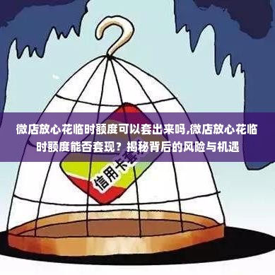 微店放心花临时额度可以套出来吗,微店放心花临时额度能否套现？揭秘背后的风险与机遇