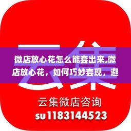微店放心花怎么能套出来,微店放心花，如何巧妙套现，避免风险与陷阱