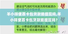 羊小咩便荔卡包贷款能提现吗,羊小咩便荔卡包贷款能提现吗？