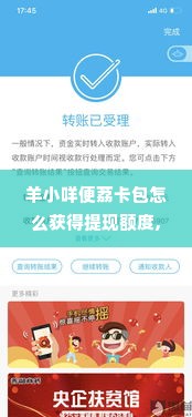 羊小咩便荔卡包怎么获得提现额度,羊小咩便荔卡包如何获得提现额度