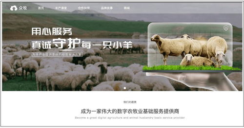 羊小咩便荔卡包500提现,羊小咩便荔卡包500提现攻略