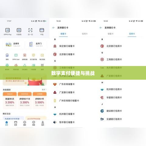 羊小咩便荔卡包再提现,羊小咩便荔卡包再提现，探索数字支付的便捷与挑战