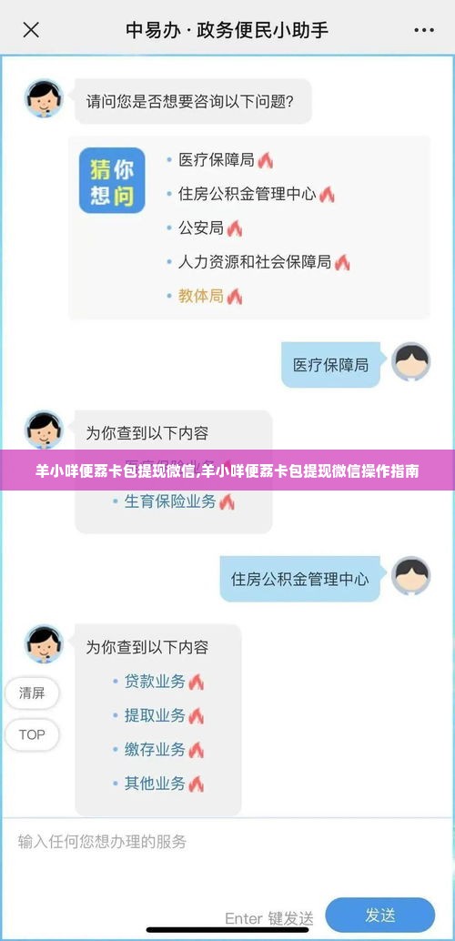 羊小咩便荔卡包提现微信,羊小咩便荔卡包提现微信操作指南