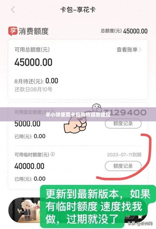 羊小咩便荔卡包购物额度提现方法,羊小咩便荔卡包购物额度提现方法