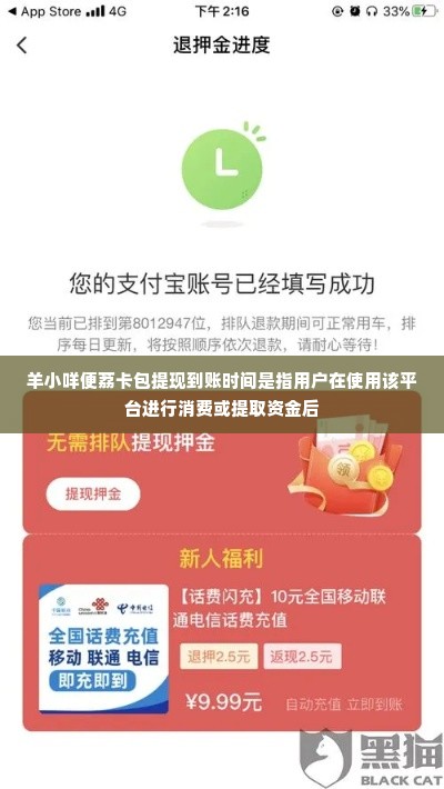 羊小咩便荔卡包多久提现到账,羊小咩便荔卡包提现到账时间解析