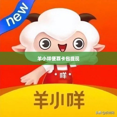 羊小咩便荔卡包能在超市提现吗,羊小咩便荔卡包在超市提现的可能性探究