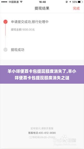 羊小咩便荔卡包提现额度消失了,羊小咩便荔卡包提现额度消失之谜