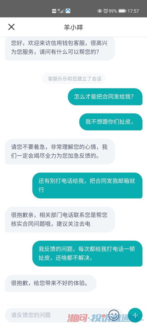 羊小咩便荔卡包贷款提现多久到账,羊小咩便荔卡包贷款提现流程与到账时间解析