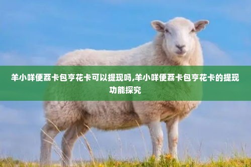 羊小咩便荔卡包亨花卡可以提现吗,羊小咩便荔卡包亨花卡的提现功能探究