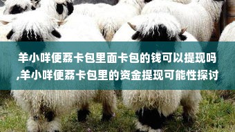 羊小咩便荔卡包里面卡包的钱可以提现吗,羊小咩便荔卡包里的资金提现可能性探讨