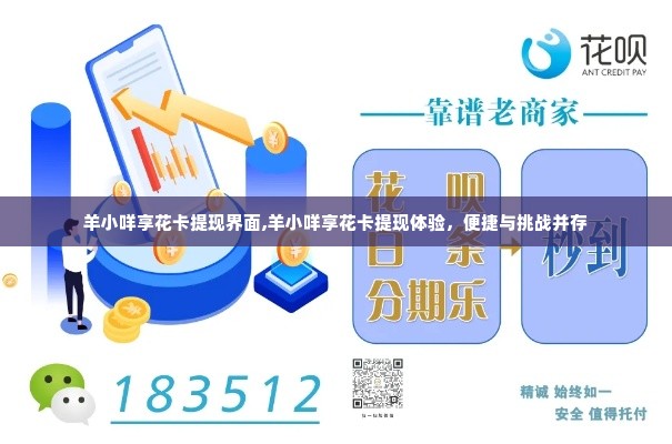 羊小咩享花卡提现界面,羊小咩享花卡提现体验，便捷与挑战并存