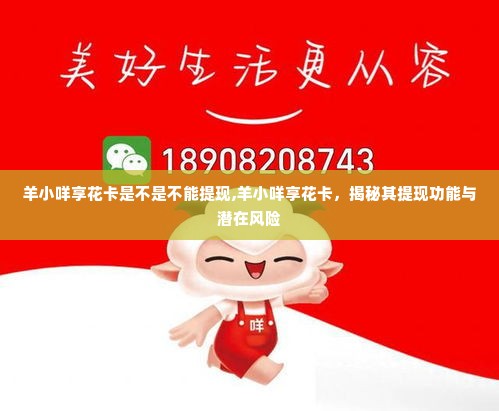 羊小咩享花卡是不是不能提现,羊小咩享花卡，揭秘其提现功能与潜在风险