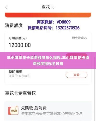 羊小咩享花卡消费额度怎么提现,羊小咩享花卡消费额度提现全攻略